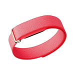 Google Fitbit Air