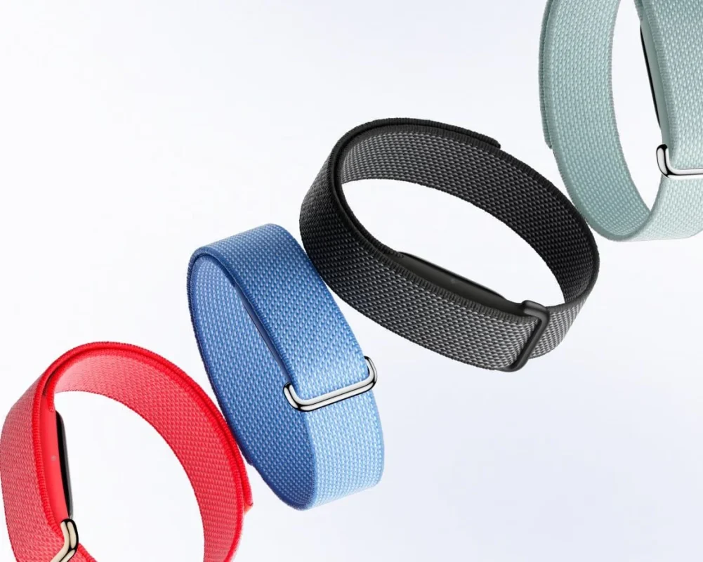 Google Fitbit Air Google Fitbit Air